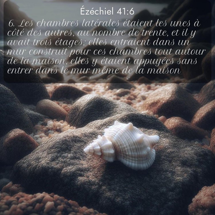 Segond Ézéchiel 41:6