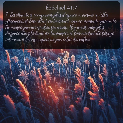 Segond Ézéchiel  ; image nature: image avec le verset biblique :Les chambres occupaient plus d&#039;espace, à mesure qu&#039;elles s&#039;élevaient, et l&#039;on allait en tournant; car on montait autour de la maison par un escalier tournant. Il y avait ainsi plus d&#039;espace dans le haut de la maison, et l&#039;on montait de l&#039;étage inférieur à l&#039;étage supérieur par celui du milieu. ;  ; 41:7