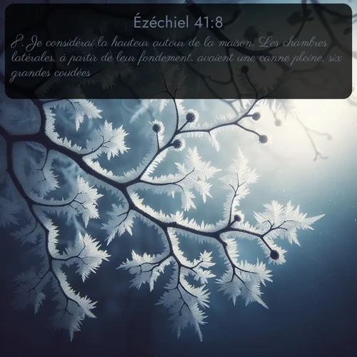 Segond Ézéchiel  ; image nature: image avec le verset biblique :Je considérai la hauteur autour de la maison. Les chambres latérales, à partir de leur fondement, avaient une canne pleine, six grandes coudées. ;  ; 41:8