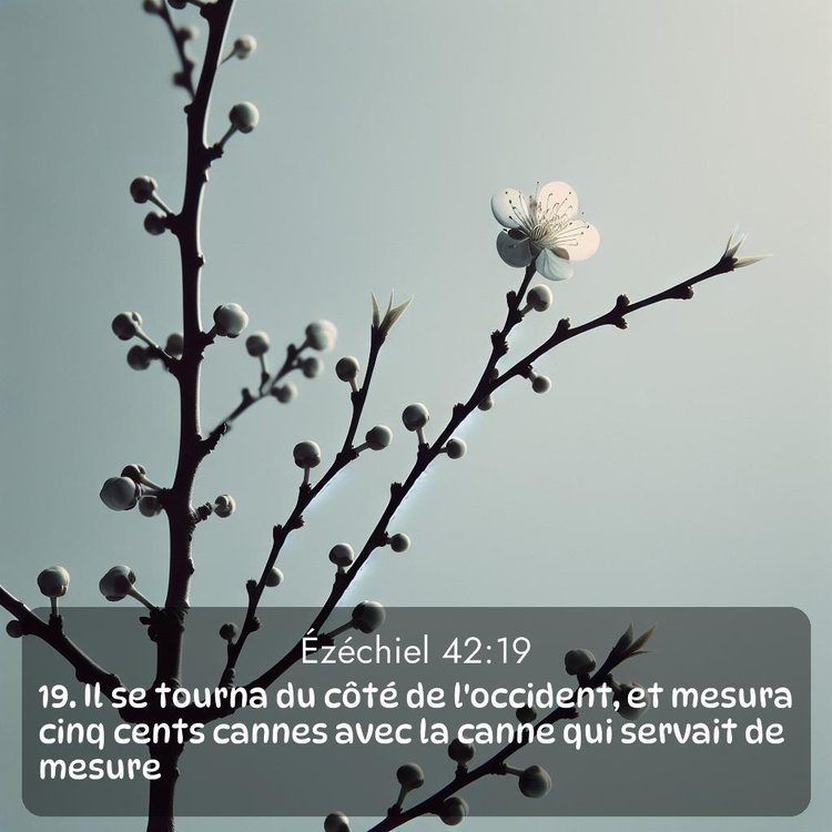 Segond Ézéchiel 42:19