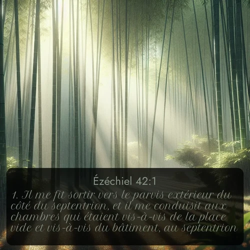 Segond Ézéchiel  ; image nature: image avec le verset biblique :Il me fit sortir vers le parvis extérieur du côté du septentrion, et il me conduisit aux chambres qui étaient vis-à-vis de la place vide et vis-à-vis du bâtiment, au septentrion. ;  ; 42:1