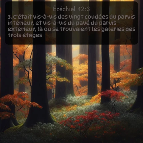 Segond Ézéchiel  ; image nature: image avec le verset biblique :C&#039;était vis-à-vis des vingt coudées du parvis intérieur, et vis-à-vis du pavé du parvis extérieur, là où se trouvaient les galeries des trois étages. ;  ; 42:3