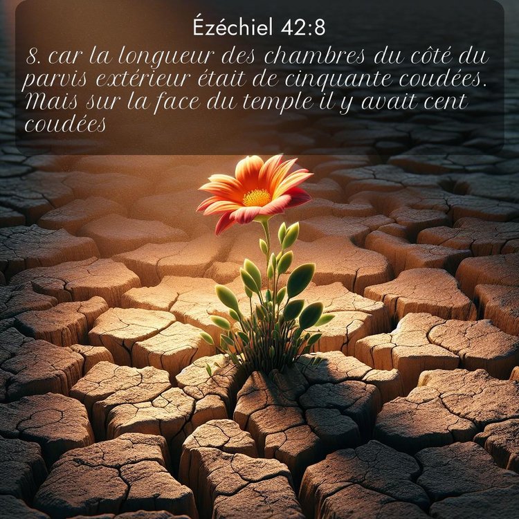 Segond Ézéchiel 42:8