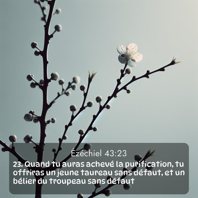 image nature avec verset biblique de la Bible