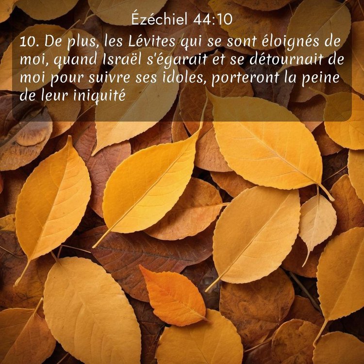image nature avec verset biblique de la Bible