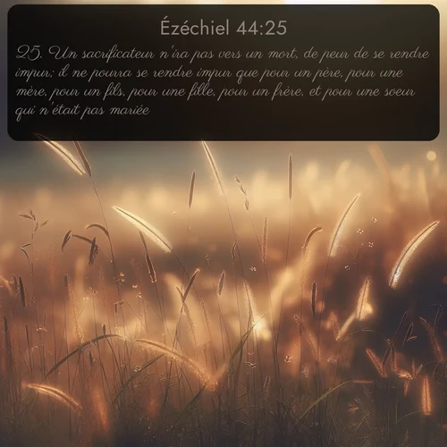 Segond Ézéchiel  ; image nature: image avec le verset biblique :Un sacrificateur n&#039;ira pas vers un mort, de peur de se rendre impur; il ne pourra se rendre impur que pour un père, pour une mère, pour un fils, pour une fille, pour un frère, et pour une soeur qui n&#039;était pas mariée. ;  ; 44:25