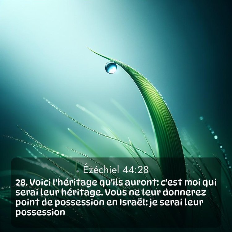 Segond Ézéchiel 44:28