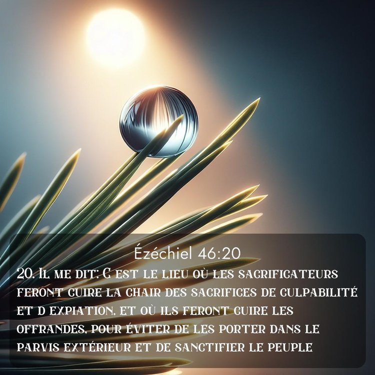 image nature avec verset biblique de la Bible