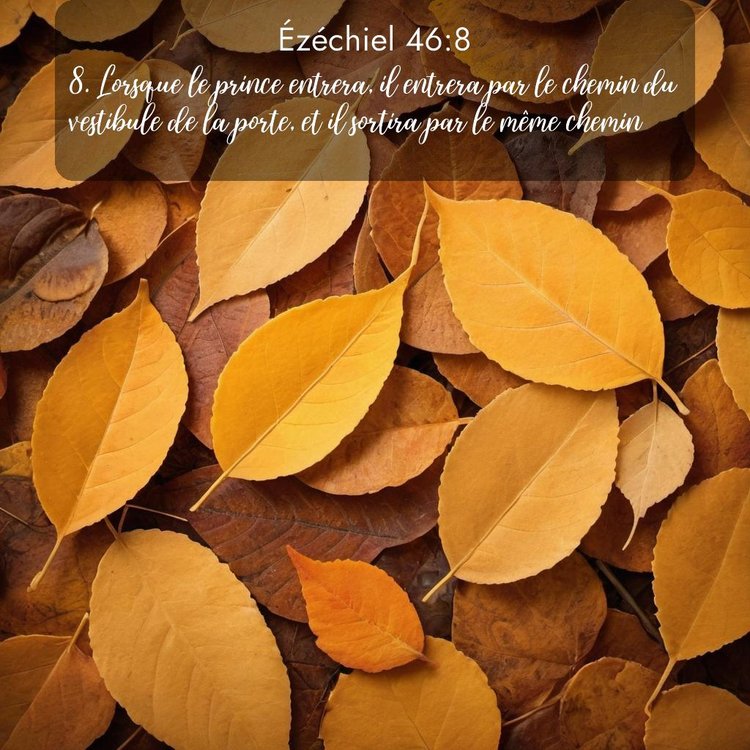 Segond Ézéchiel 46:8