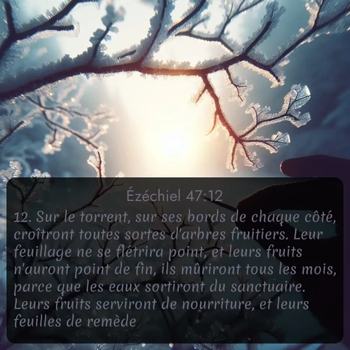 Segond Ézéchiel  ; image nature: image avec le verset biblique :Sur le torrent, sur ses bords de chaque côté, croîtront toutes sortes d&#039;arbres fruitiers. Leur feuillage ne se flétrira point, et leurs fruits n&#039;auront point de fin, ils mûriront tous les mois, parce que les eaux sortiront du sanctuaire. Leurs fruits serviront de nourriture, et leurs feuilles de remède. ;  ; 47:12