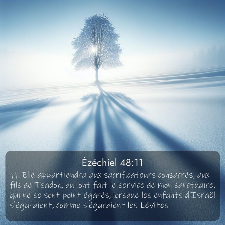 Segond Ézéchiel 48:11