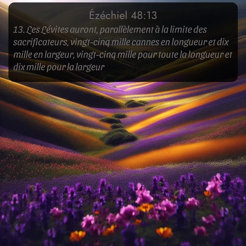 Segond Ézéchiel  ; image nature: image avec le verset biblique :Les Lévites auront, parallèlement à la limite des sacrificateurs, vingt-cinq mille cannes en longueur et dix mille en largeur, vingt-cinq mille pour toute la longueur et dix mille pour la largeur. ;  ; 48:13