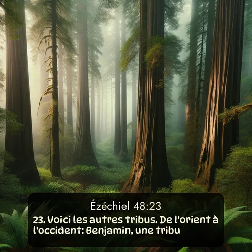Segond Ézéchiel  ; image nature: image avec le verset biblique :Voici les autres tribus. De l&#039;orient à l&#039;occident: Benjamin, une tribu. ;  ; 48:23