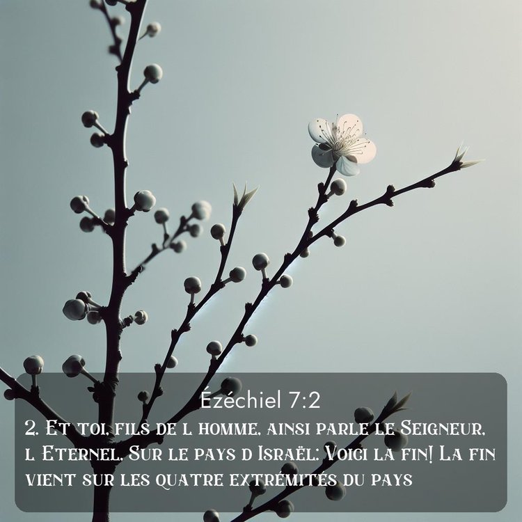 Segond Ézéchiel 7:2