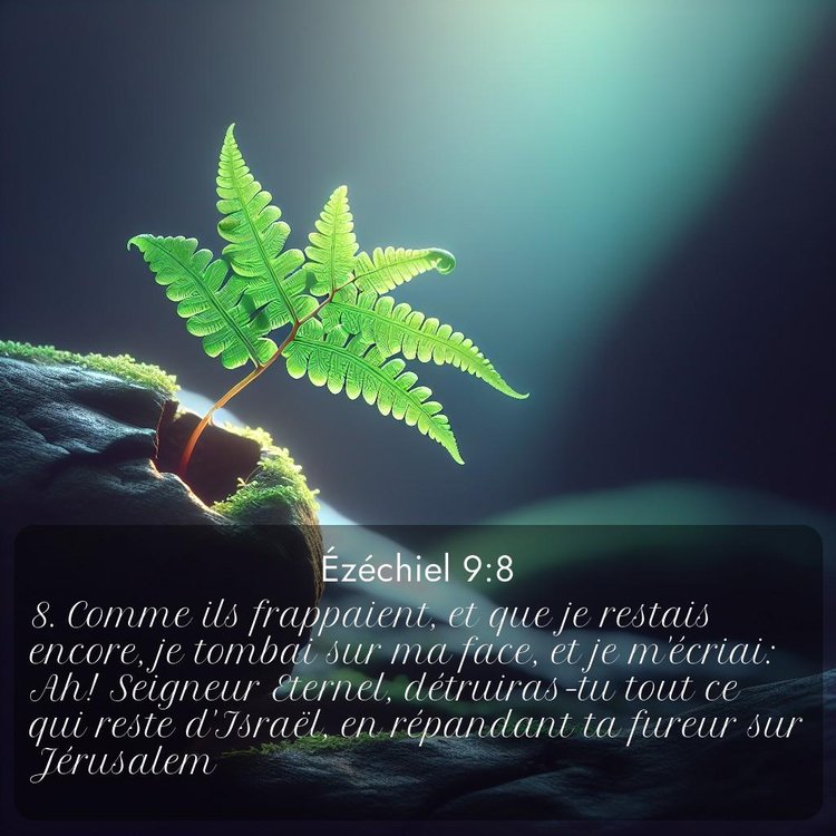 image nature avec verset biblique de la Bible