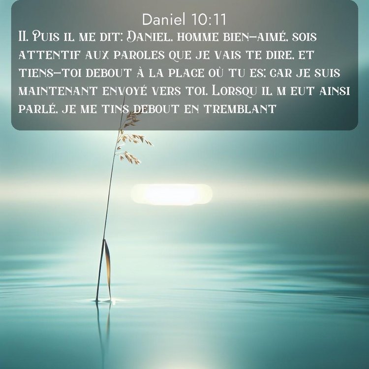 Segond Daniel 10:11