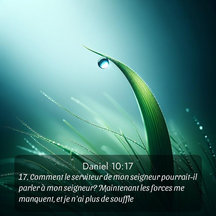 Segond Daniel 10:17