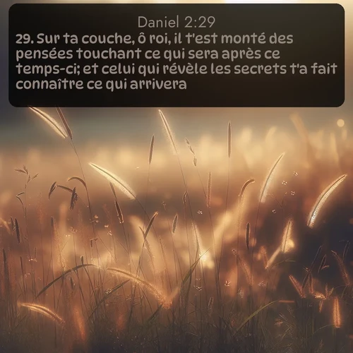 Segond Daniel  ; image nature: image avec le verset biblique :Sur ta couche, ô roi, il t&#039;est monté des pensées touchant ce qui sera après ce temps-ci; et celui qui révèle les secrets t&#039;a fait connaître ce qui arrivera. ;  ; 2:29
