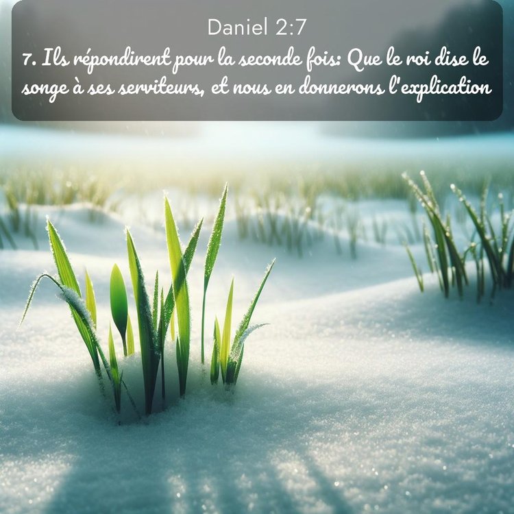 Segond Daniel 2:7