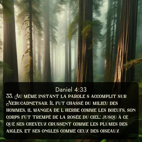 Segond Daniel  ; image nature: image avec le verset biblique :Au même instant la parole s&#039;accomplit sur Nebucadnetsar. Il fut chassé du milieu des hommes, il mangea de l&#039;herbe comme les boeufs, son corps fut trempé de la rosée du ciel; jusqu&#039;à ce que ses cheveux crussent comme les plumes des aigles, et ses ongles comme ceux des oiseaux. ;  ; 4:33