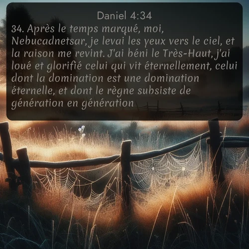 Segond Daniel  ; image nature: image avec le verset biblique :Après le temps marqué, moi, Nebucadnetsar, je levai les yeux vers le ciel, et la raison me revint. J&#039;ai béni le Très-Haut, j&#039;ai loué et glorifié celui qui vit éternellement, celui dont la domination est une domination éternelle, et dont le règne subsiste de génération en génération. ;  ; 4:34