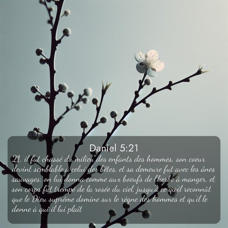 image nature avec verset biblique de la Bible