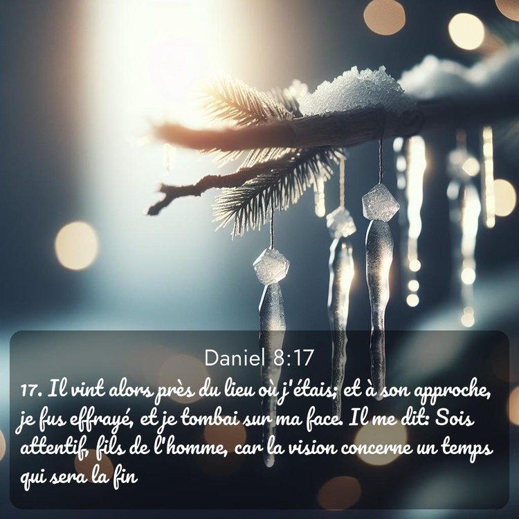 Segond Daniel 8:17