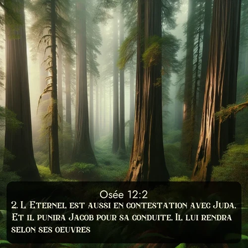 Segond Osée  ; image nature: image avec le verset biblique :L&#039;Eternel est aussi en contestation avec Juda, Et il punira Jacob pour sa conduite, Il lui rendra selon ses oeuvres. ;  ; 12:2