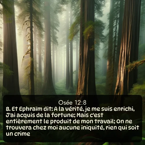 Segond Osée  ; image nature: image avec le verset biblique :Et Ephraïm dit: A la vérité, je me suis enrichi, J&#039;ai acquis de la fortune; Mais c&#039;est entièrement le produit de mon travail; On ne trouvera chez moi aucune iniquité, rien qui soit un crime. ;  ; 12:8
