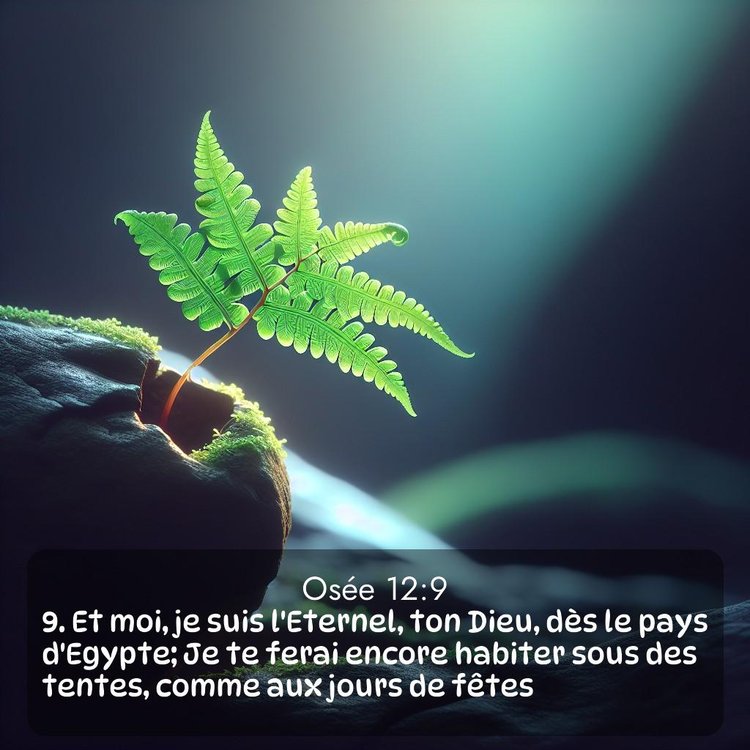 Segond Osée 12:9