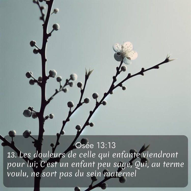 image nature avec verset biblique de la Bible