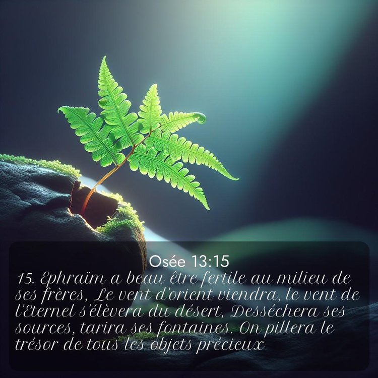 image nature avec verset biblique de la Bible