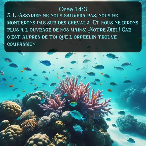 Segond Osée  ; image nature: image avec le verset biblique :L&#039;Assyrien ne nous sauvera pas, nous ne monterons pas sur des chevaux, Et nous ne dirons plus à l&#039;ouvrage de nos mains: Notre Dieu! Car c&#039;est auprès de toi que l&#039;orphelin trouve compassion. ;  ; 14:3