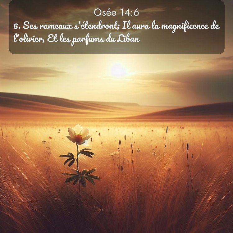 Segond Osée 14:6