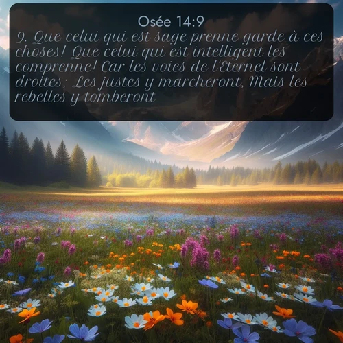 Segond Osée  ; image nature: image avec le verset biblique :Que celui qui est sage prenne garde à ces choses! Que celui qui est intelligent les comprenne! Car les voies de l&#039;Eternel sont droites; Les justes y marcheront, Mais les rebelles y tomberont. ;  ; 14:9