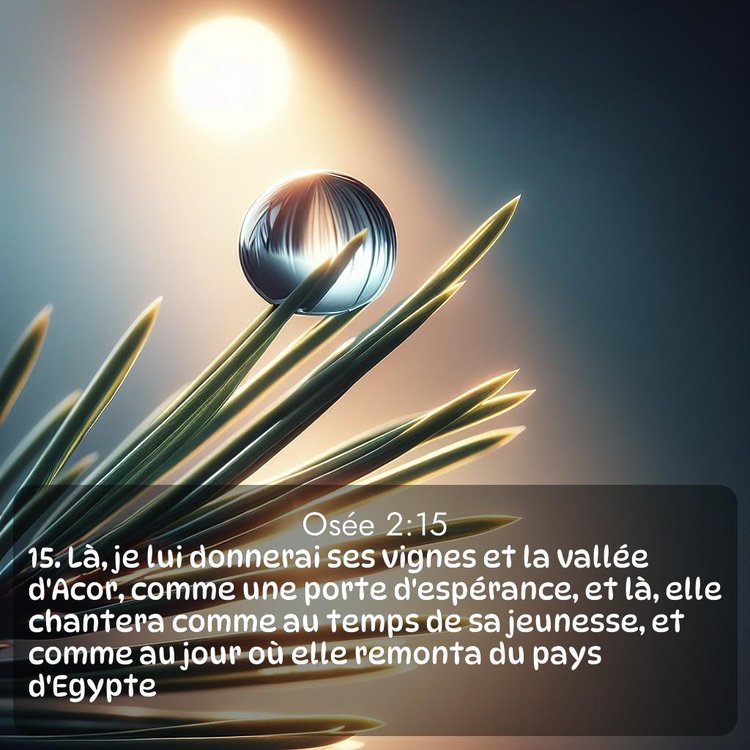 Segond Osée 2:15