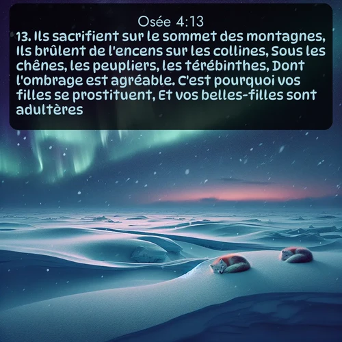 Segond Osée  ; image nature: image avec le verset biblique :Ils sacrifient sur le sommet des montagnes, Ils brûlent de l&#039;encens sur les collines, Sous les chênes, les peupliers, les térébinthes, Dont l&#039;ombrage est agréable. C&#039;est pourquoi vos filles se prostituent, Et vos belles-filles sont adultères. ;  ; 4:13