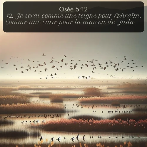 Segond Osée  ; image nature: image avec le verset biblique :Je serai comme une teigne pour Ephraïm, Comme une carie pour la maison de Juda. ;  ; 5:12