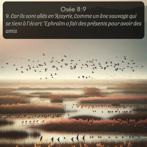 Segond Osée  ; image nature: image avec le verset biblique :Car ils sont allés en Assyrie, Comme un âne sauvage qui se tient à l&#039;écart; Ephraïm a fait des présents pour avoir des amis. ;  ; 8:9