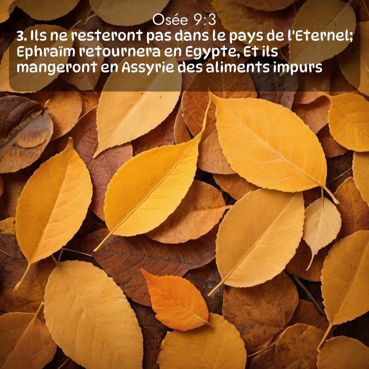 Segond Osée 9:3