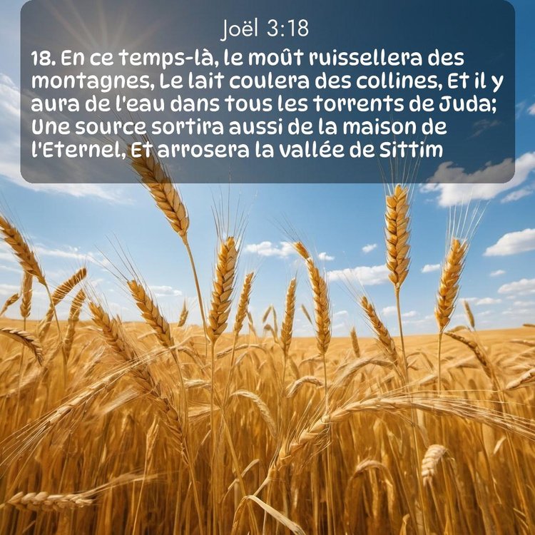 image nature avec verset biblique de la Bible