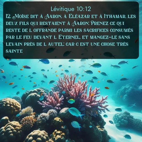 Segond Lévitique  ; image nature: image avec le verset biblique :Moïse dit à Aaron, à Eléazar et à Ithamar, les deux fils qui restaient à Aaron: Prenez ce qui reste de l&#039;offrande parmi les sacrifices consumés par le feu devant l&#039;Eternel, et mangez-le sans levain près de l&#039;autel: car c&#039;est une chose très sainte. ;  ; 10:12