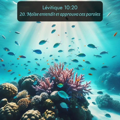 Segond Lévitique  ; image nature: image avec le verset biblique :Moïse entendit et approuva ces paroles. ;  ; 10:20
