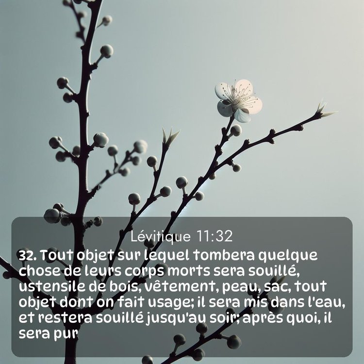 Segond Lévitique 11:32