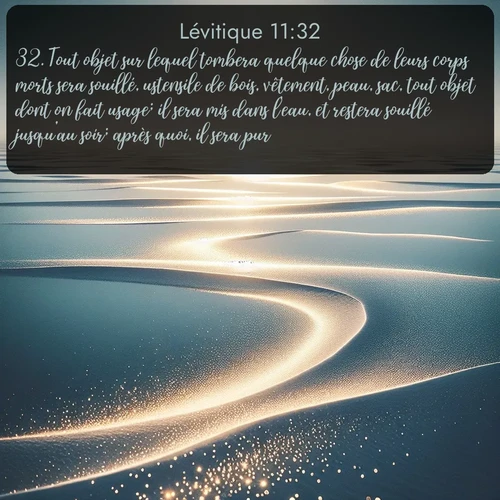 Segond Lévitique  ; image nature: image avec le verset biblique :Tout objet sur lequel tombera quelque chose de leurs corps morts sera souillé, ustensile de bois, vêtement, peau, sac, tout objet dont on fait usage; il sera mis dans l&#039;eau, et restera souillé jusqu&#039;au soir; après quoi, il sera pur. ;  ; 11:32