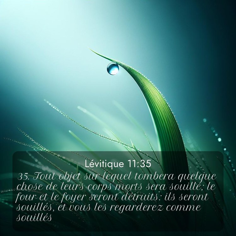 Segond Lévitique 11:35