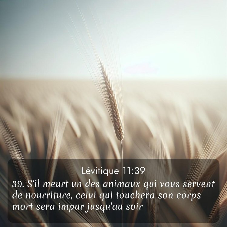 image nature avec verset biblique de la Bible