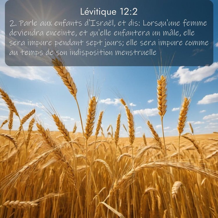 Segond Lévitique 12:2