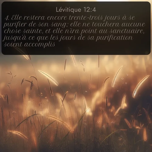 Segond Lévitique  ; image nature: image avec le verset biblique :Elle restera encore trente-trois jours à se purifier de son sang; elle ne touchera aucune chose sainte, et elle n&#039;ira point au sanctuaire, jusqu&#039;à ce que les jours de sa purification soient accomplis. ;  ; 12:4