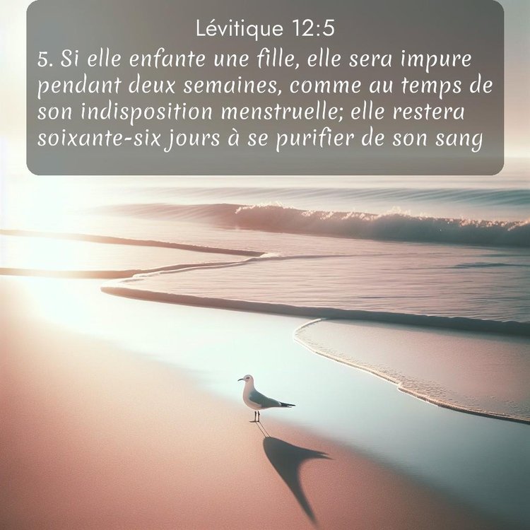 Segond Lévitique 12:5